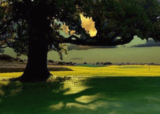 Portugal D7 Visa 2025: How To Apply For Passive Earnings Visa, Prices And Necessities For Applicants